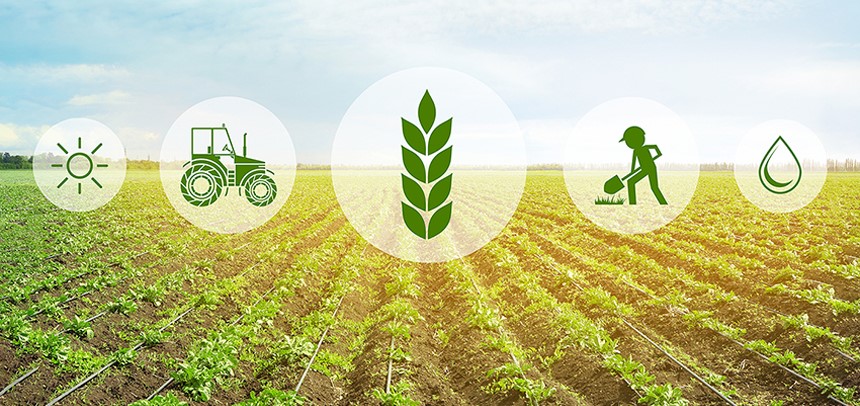 Khả năng ứng dụng ERP vào sản xuất nông nghiệp tại Việt Nam có khả thi?