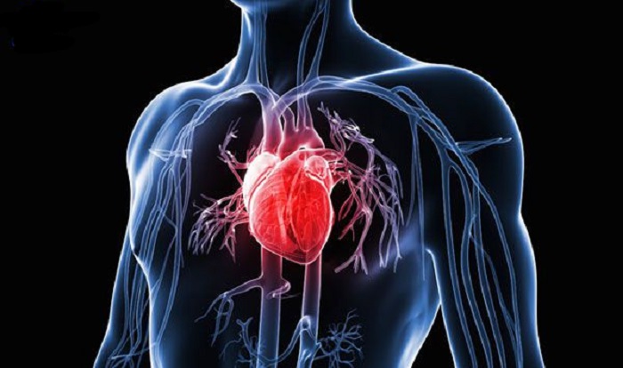Dấu hiệu viêm cơ tim sau tiêm vaccine COVID-19